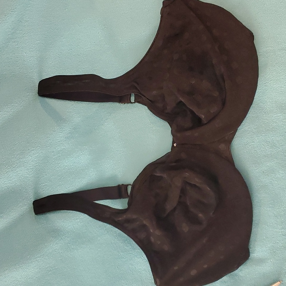 Warner's Sheer Underwire Bra Size 42DD.